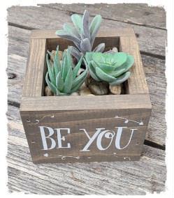 Succulent Planter 